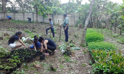 Estudiantes Realizando actividades en el vivero 